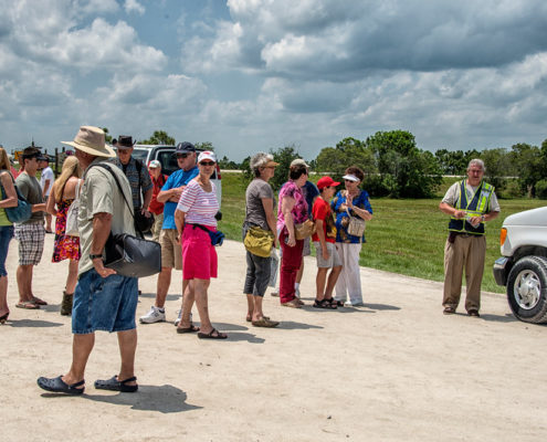 Ritch Grissom Wetland Tours | Viera Florida